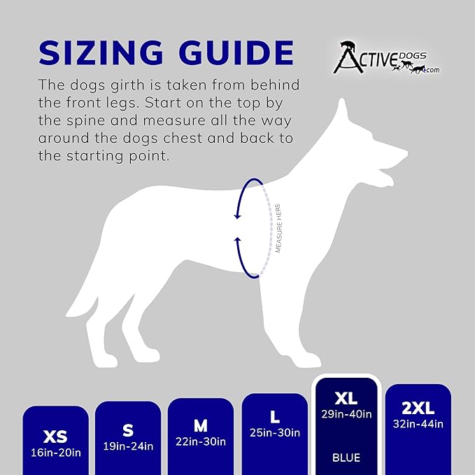 ActiveDogs Full Service Dog Kit - XL Blue - Service Vest Harness with Handle, ID Holder, ADA Cards, Medical Alert Keychain, Leash & Patches