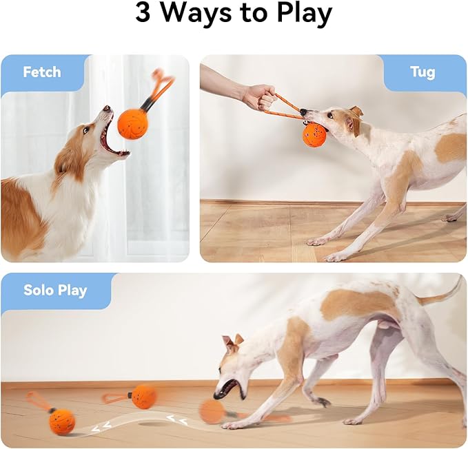 Cheerble Smart Interactive Dog Rope Toy Tug of War, Wicked Ball AIR Rope, Automatic Moving, Bouncing, and Rotating, E-TPU Material, IPX7 Waterproof Rating, Active Rolling Ball (Orange)