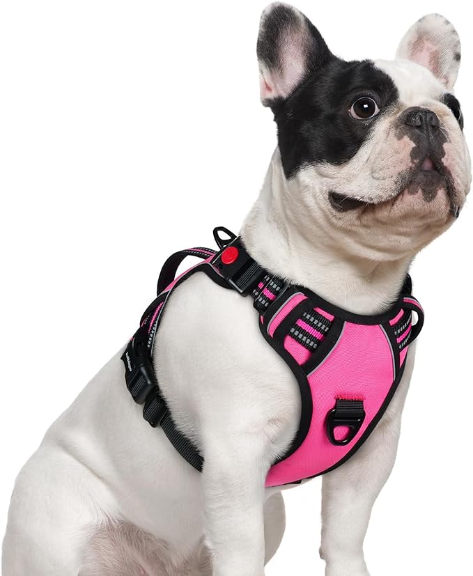 rabbitgoo Dog Harness Small Sized Dog, No Pull Pet Harness with Soft Padded Handle, Adjustable Reflective Vest with 3 Buckles, Easy Walking Harness with 2 Leash Clips, Pink, S