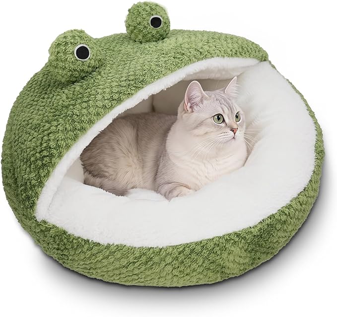 CWV Cute Cat Beds Kitten Beds, Soft Small Dog Beds, Washable Pet Beds for Puppy and Kitty, Funny Frog Cat Cave, 23 Inches