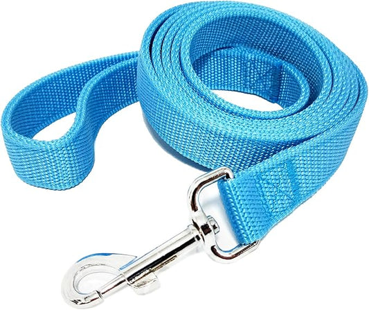 Strong Nylon Dog Leash with 2-Layer, 4 FT/ 6 FT/ 7FT Long, 1 Inch Wide for Medium Large Dogs (Sky Blue, 1'' x 2 FT)