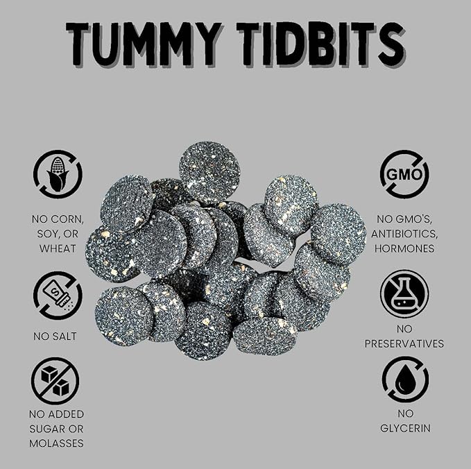 Winnie Lou Organic Healthy Dog Treats – All Natural Crunchy Dog Biscuits Made in USA with Organic Pumpkin, Ginger, Activated Charcoal for Improved Digestion – Tummy Tidbits (Pack of 2)