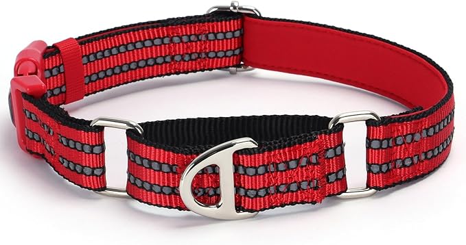 Martingale Collar for Dogs - Reflective Nylon with Padded Comfort & Quick Release Buckle - No Slip Choke Heavy Duty Collar for Safe Training, Walking & Nighttime Use Red M