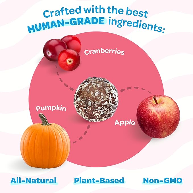 Cranberry, Apple, & Pumpkin Dog Treats - Grain Free Healthy Dog Pumpkin Treats - Gluten Free, Non-GMO, Clean & Nutritious, Plant Based Vegan Ingredients - 18pk