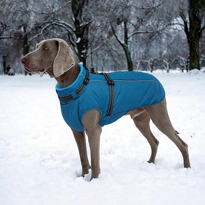 Lelepet Waterproof Dog Jacket with Harness Built in Warm Dog Winter Coat, Reflective Jacket Fleece Jacket, Dogs Coats for Small Dogs, Thermal Pet Snowsuit for Cold Weather, Yorkshire, Shih Tzu, Blue S