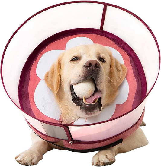 Inflatable Dog Cone Collar for Large Medium Small Dogs, Soft Dog Donut Collar Adjustable Recovery Cone for Pets After Surgery, Extra Enhanced Anti-Licking Guard Shield (Mangosteen, Medium Plus)