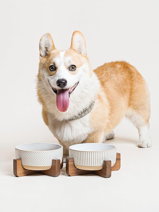 LE TAUCI PET Ceramic Dog Bowls for Medium Small Dogs - 4 Cup Medium Dog Food and Water Bowls with Wood Stand, Cute Pet Dishes Set of 2, Lines+Dot