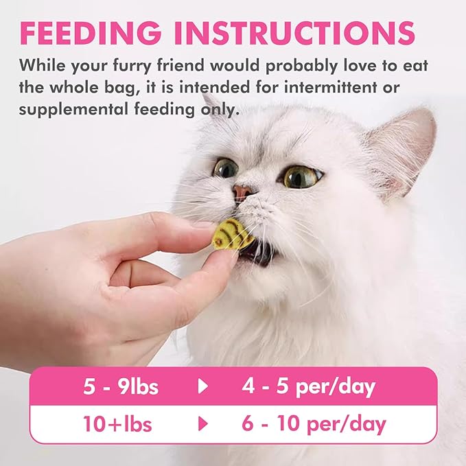 Catnip Cat Treats, Chicken and Salmon Flavor Cat Snacks, Training Biscuits Treats for Cats, Crunchy Fish Shape Adult Cat Biscuits, 8 oz