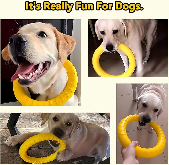 Outdoor Dog Flying Disc Toy, Floating Ring Toys, Dogs Chew Toys Pet Chewers for Small Medium Large Puppy Training Fetching Throwing Catching Interactive Play, Swimming, Water Floats Toys (11''/ 29cm)