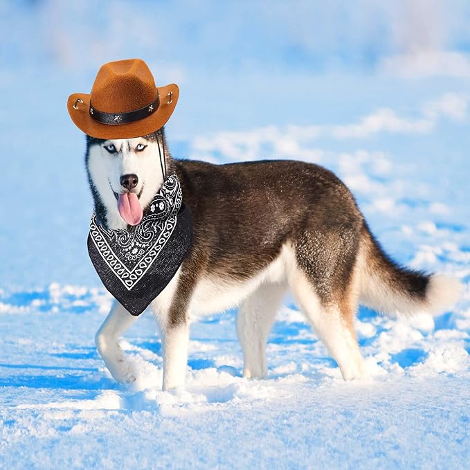 Yewong Pet Cowboy Costume Accessories - Dog Cat Pet Size Cowboy Hat and Bandana Scarf West Accessories for Puppy Kitten Party Festival and Daily Wearing Set of (Coffee Hat+Black Bandana)