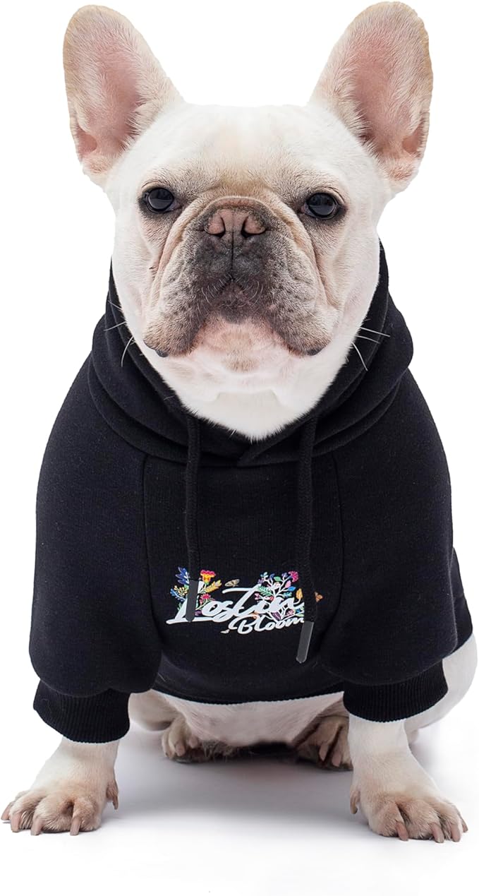 Blooming Teddy Dog Hoodie Dog Clothes Extra Warm Fleece Lining Stretchy Fit for Small Dogs (Black, Medium)