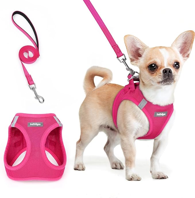 rabbitgoo Dog Harness Small Sized and Leash Set, Step in Soft Light Puppy Vest, Breathable Mesh Pet Harness, Reflective for Safe Easy Walking, Rose Red XXS