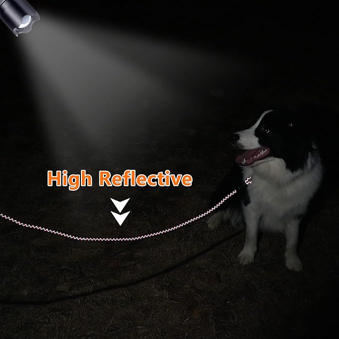 NTR Long Dog Leash, 50FT Check Cord with Swivel Lockable Hook and Comfortable Padded Handle for Dog Leash for Small Medium and Large Dogs Walking Training Hiking Camping Playing, Teal/Yellow