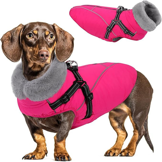 Queenmore Dog Coat,Windproof Dog Coat for Medium Dogs,Dogs Jackets with Harness Built in,Waterproof Doggy Coats with Zipper On Back,Reflective Cold Weather Coats for Dachshund,Boston Terrier,RoseRed,M