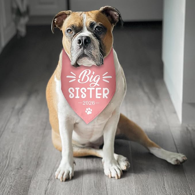 Big Sister 2026 Dog Bandana Gender Reveal Big Sister Baby Announcement Gift Pregnancy Announcement Photo Prop for Dog Lover Pet Scarf Accessories for Small Medium Large Dog