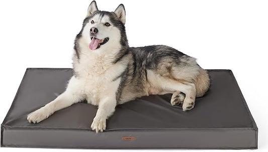 LE SURE Outdoor Waterproof Dog Bed for Extra Large Dogs, Orthopedic Egg Crate Foam Pet Bed with Oxford Fabric Surface and Removable and Durable Cover, Machine Washable, 48''x30'', Grey