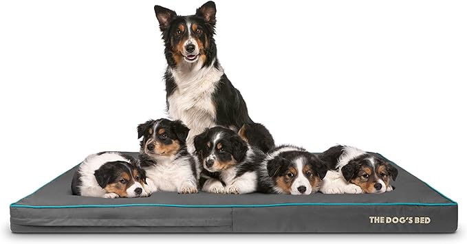 The Dog’s Bed Orthopedic Memory Foam Dog Bed, XXXL Grey/Blue 64x44x4, Pain Relief for Arthritis, Hip & Elbow Dysplasia, Post Surgery, Lameness, Supportive, Calming, Waterproof Washable Cover