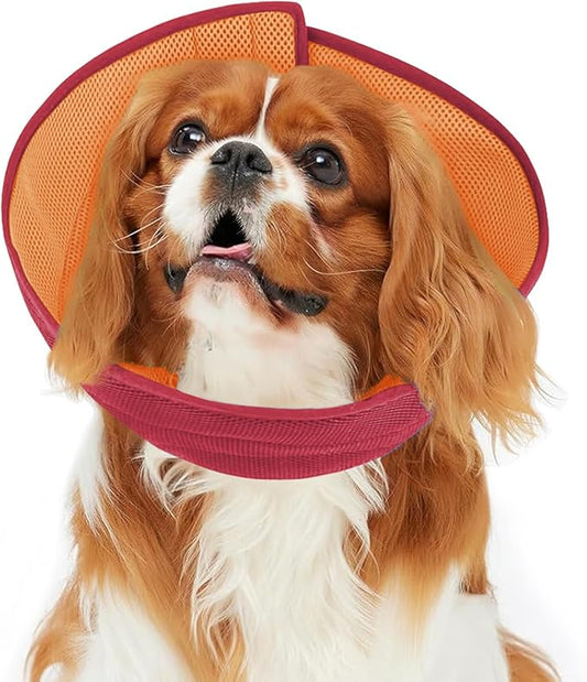 Inspack Soft Dog Cone Collar Alternative, E Cones for Small Dogs/Cat/Puppy to Stop Licking after Surgery, Comfortable All Paws Comfy Elizabethan Collars, Neuter Recovery Ecollars of Shame Alternatives