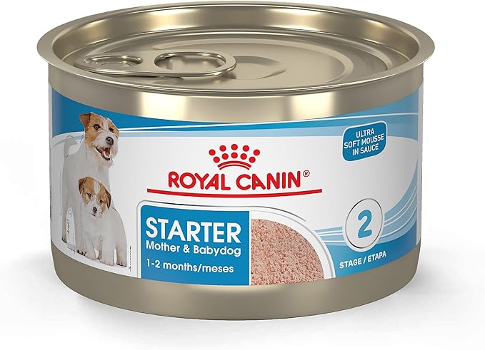 Royal Canin Size Health Nutrition Starter Mother & Babydog Mousse in Sauce Dog Food, 5.1 oz (Pack of 24)