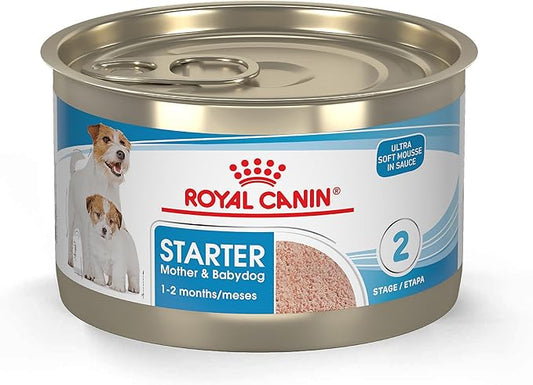 Royal Canin Size Health Nutrition Starter Mother & Babydog Mousse in Sauce Dog Food, 5.1 oz (Pack of 24)