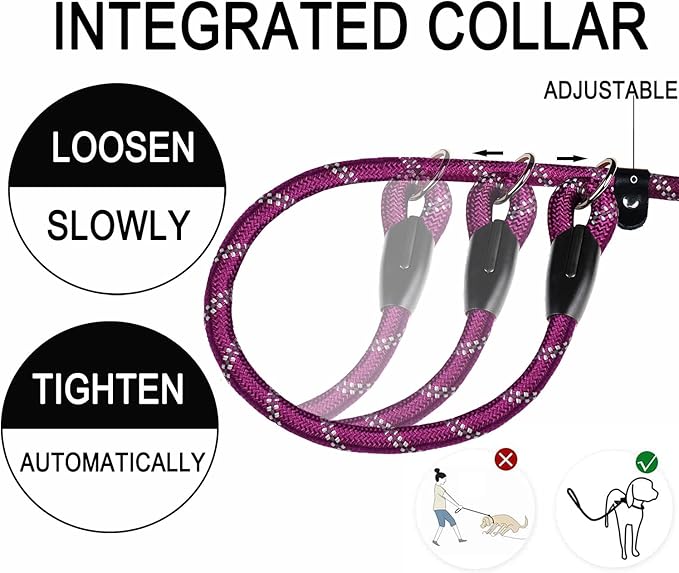 Dog Leash 6 FT, Durable Premium Quality Strong Training Rope Slip Leash with Comfortable Padded Handle and Highly Reflective Threads for Small Medium and Large Dogs, (Wine Red)