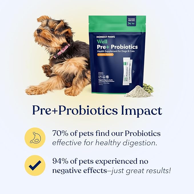 Honest Paws Probiotics for Dogs - Dog Digestion Gut Health Probiotic Powder with Prebiotic Made in The USA, Digestive and Immune Support - Digestive Enzymes with Pumpkin Flavor (30 Sticks)