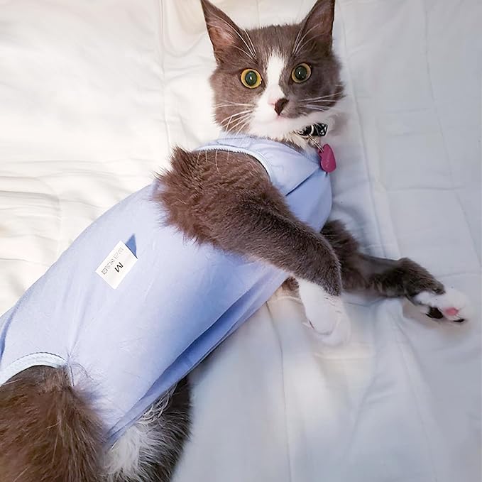 Cat Recovery Suit for Male and Female Surgical Post Surgery Soft Cone Onesie Shirt Clothes Neuter Licking Protective Diapers Outfit Cover Kitten Spay Collar(S, Blue)