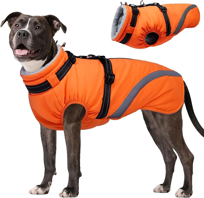BRKURLEG Dog Winter Jackets for Medium Dogs, Dog Coat with Harness Built in, Dogs Snowsuits with Zipper, Waterproof Windproof Pet Puffer Jacket Fleece Vest for Beagle, Pug, Orange L