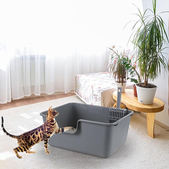 4-Pack Plastic High Wall Cat Litter Box with Scoop, Open Air Kitty Litter Pan, Gray