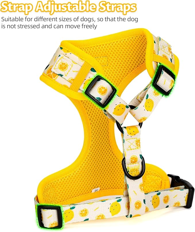 Dog Harness and Leash Set, Adjustable Dog Harness, Dog Leash, No Pull No Choke Puppy Harnesses for Walking Training for Small, Medium Pet (Lemon, S(Chest 13-19", Neck 9.5-13.1"))