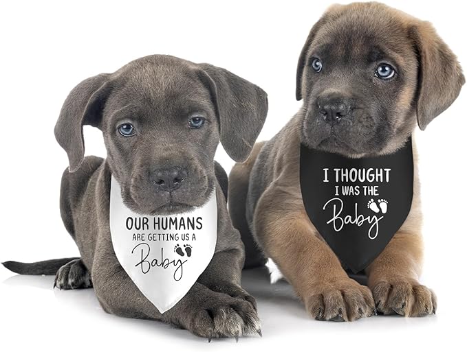 2 Pack Our Humans are Getting Us a Baby Dog Bandanas Pregnancy Announcement Bandana for Dogs Pet Accessories Lovers Reveal Ideas