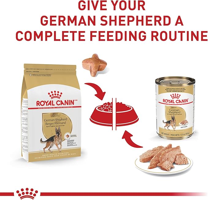 Royal Canin Breed Health Nutrition German Shepherd Adult Loaf in Sauce Dog Food, 13.5 oz (Pack of 12)