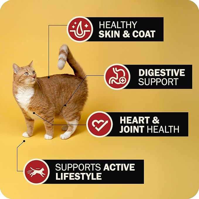 Redbarn Air Dried Powerfood for Cats with Real Chicken – Made in USA High Protein, Grain-Free Dry Cat Kitten Food Full Meal or Topper for Picky Eaters Supports Energy & Healthy Skin Coat – 2.5oz Trial