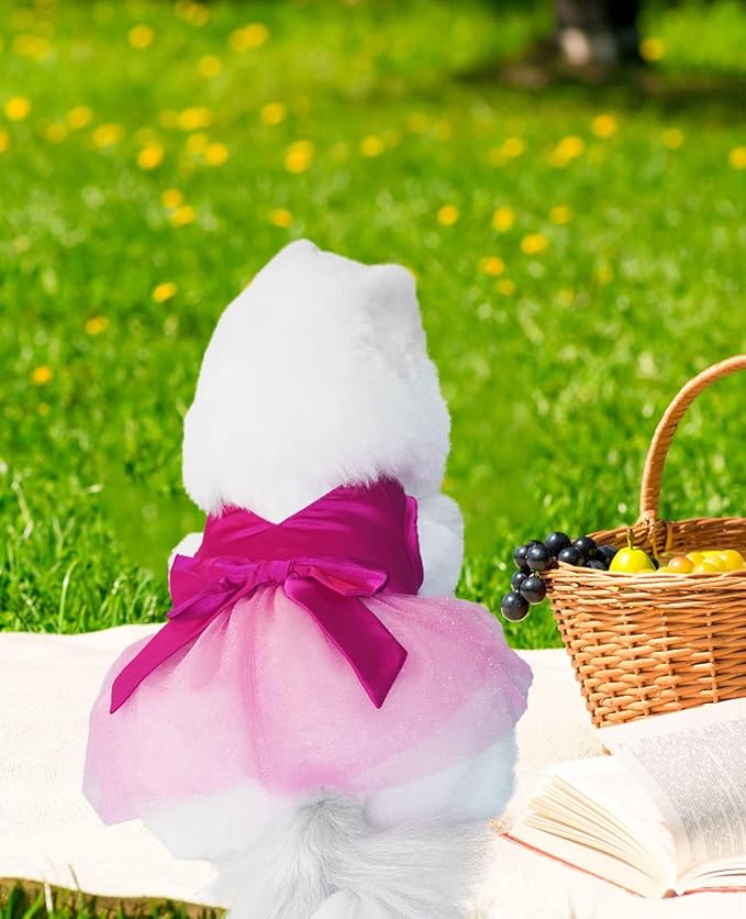 Summer Girl Dog Dress, Puppy Silk Tulle Dress, Cute Princess Dog Dresses with Bow, Lace Pet Birthday Party Outfit Pet Tutu for Small Dogs Girl, Fancy Puppy Clothes for Chihuahua Teacup Yorkie