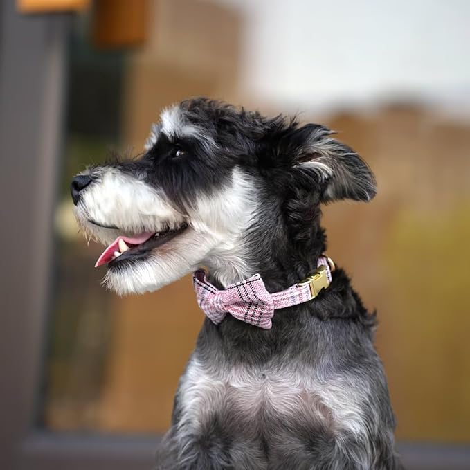 Beirui Cute Small Dog Harness Collar and Leash Set with Bowtie, Soft Adjustable Plaid Puppy Harness for Small Sized Dogs Cats Walks Parties and Photoshoots(Pink,S:Chest 17-23")