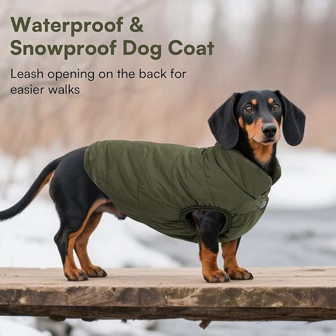 ASENKU Windproof Dog Winter Coat Waterproof Fleece Jacket Cold Weather Pet Apparel for Small Medium Large Dogs (ArmyGreen, 2XL)