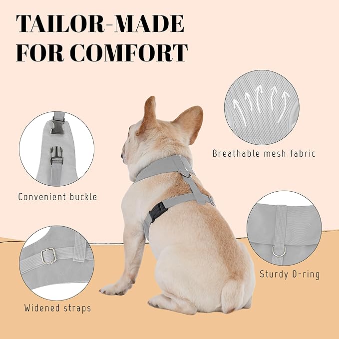 AVERYDAY Dog Tuxedo for Wedding Outfit, Dog Suit and Tie Costumes for Birthday, Halloween, Cosplay, Christmas Party, Pet Formal Wear with Bowtie, Tux for Small Dogs, Chihuahua, Bichon, Maltese, Cats