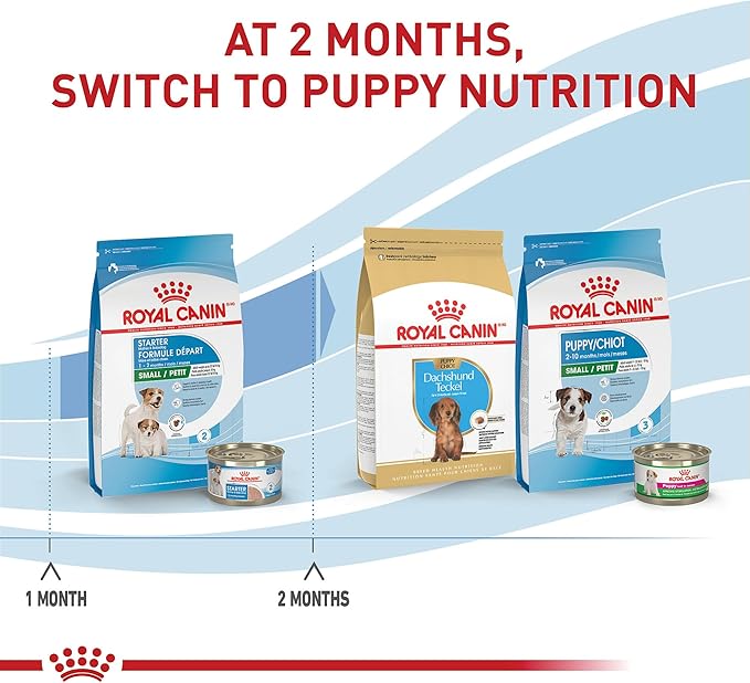 Royal Canin Size Health Nutrition Small Starter Mother & Babydog Dry Dog Food, 14 lb bag