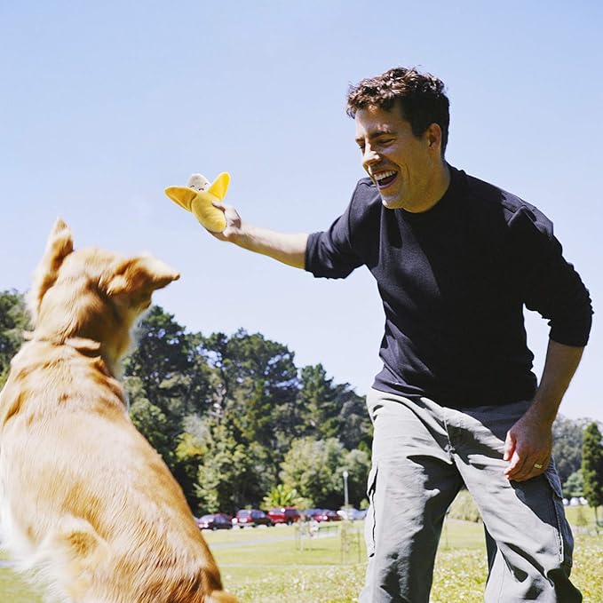 Nocciola Dog Squeaky Toys, Plush Small Dog Toys for Dogs, Stuffed with Squeakers,12 pcs Puppy Toys with a Carrying Bag for Small Medium Size