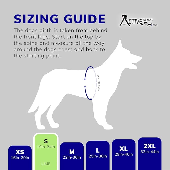 ActiveDogs Full Service Dog Kit - Small Lime - Service Vest Harness with Handle, ID Holder, ADA Cards, Medical Alert Keychain, Leash & Patches