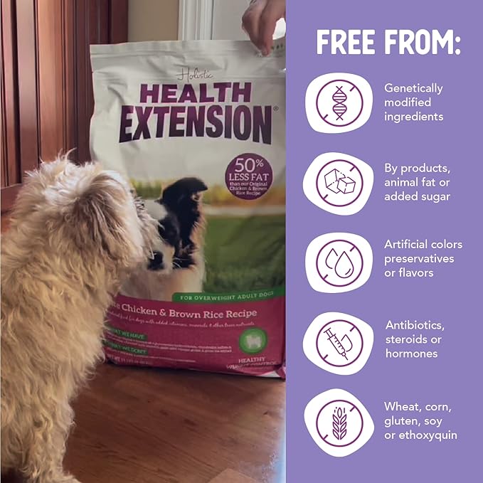 Health Extension Lite Chicken & Brown Rice Dry Dog Food (1 lb / 0.45 kg) - Low-Fat Formula with Glucosamine, Probiotics & Omega 3 for Overweight, Spayed, Neutered, or Senior Dogs