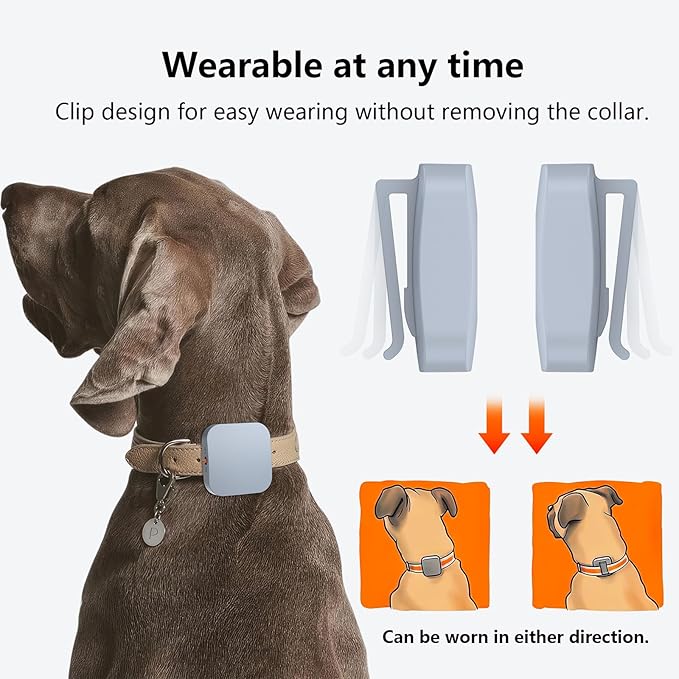Dog Training Collar with Remote Controller - E Collar for Dogs Training Small, Medium, Large Dog Training, Waterproof Dog Collar, Rechargeable Dog Training & Behavior Aids Dog Accessories