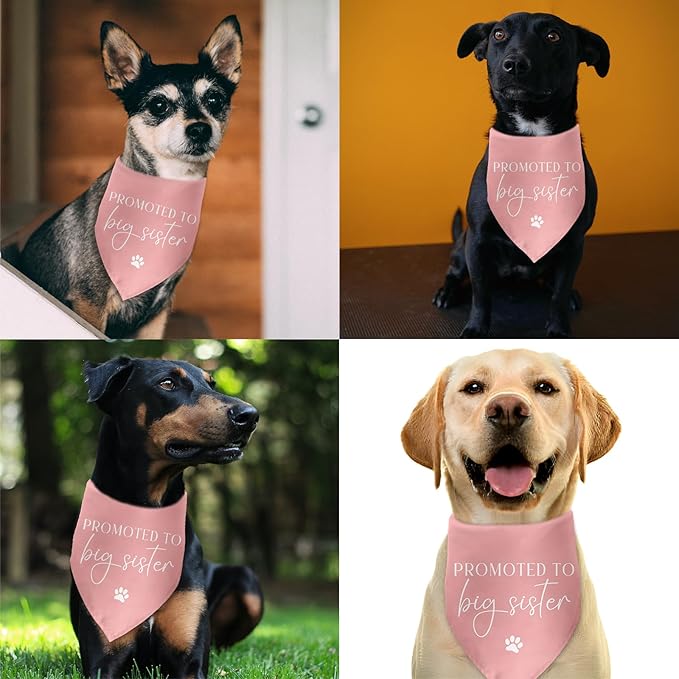 Promoted to Big Sister Baby Announcement Pink Dog Bandana Gender Reveal Gift Pregnancy Announcement Photo Prop for Dog Lover Pet Scarf Accessories for Small Medium Large Dog