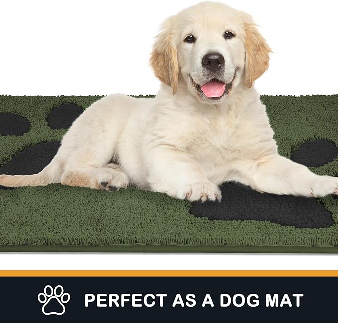 PURRUGS Dirt Trapping Door Mat 24" x 35.5", Non-Skid/Slip Machine Washable Microfiber Entryway Rug, Dog Doormat, Super Absorbent Welcome Mat for Muddy Wet Shoes and Paws, Green