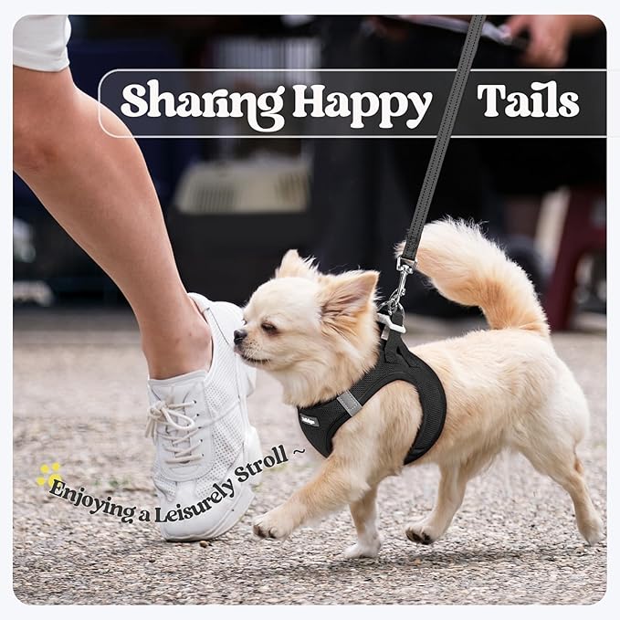 rabbitgoo Dog Harness Small Sized and Leash Set, Step in Soft Light Puppy Vest, Breathable Mesh Pet Harness, Reflective for Outdoor Safe Walking, Black XXL