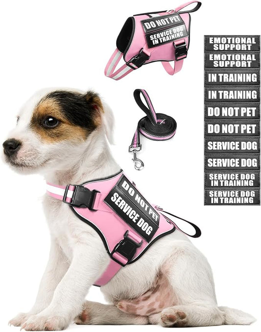 Service Dog Vest Harness and Leash Set+10 Patches for Puppy Small Dogs,Do Not Pet Emotional Support Dog Vest with 2 Soft Padded Handle for Everyday/Training (Pink XS)