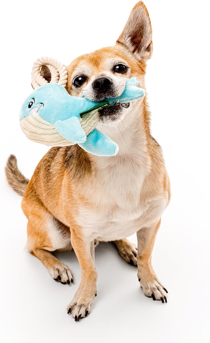 Dog Toys | Plush Toy Whale Stuffed Animal for Dogs | Small Eco Friendly Toy - Easy to Clean and Made from Non Toxic Materials