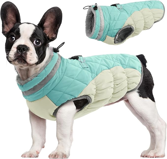 FUAMEY Dog Coat for Small Dogs,Waterproof Dog Winter Jacket with Harness Built in Puppy Cold Weather Coats Reflective Pet Vest with Zipper Warm Fleece Dogs Snowsuit Windproof Mint Green S
