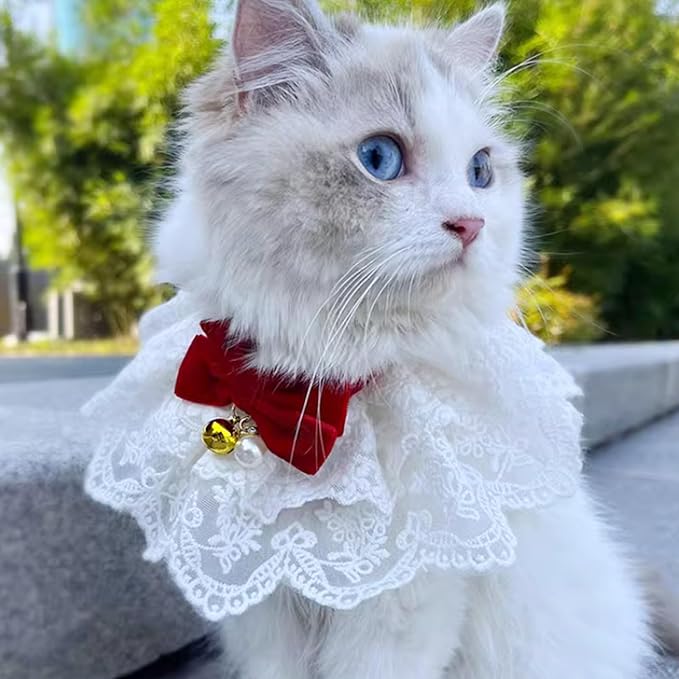 HEEPDD Cat Lace Bib Collar with Bow, Decorative Pet Bandana Scarf Costume, Small Size, Dress Up Accessories