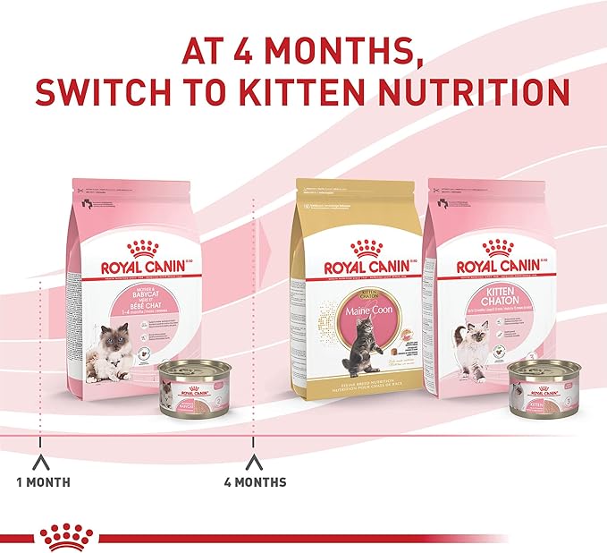 Royal Canin Feline Health Nutrition Mother & Babycat Queen Ultra Soft Mousse in Sauce Cat Food, 3 oz (Pack of 6)